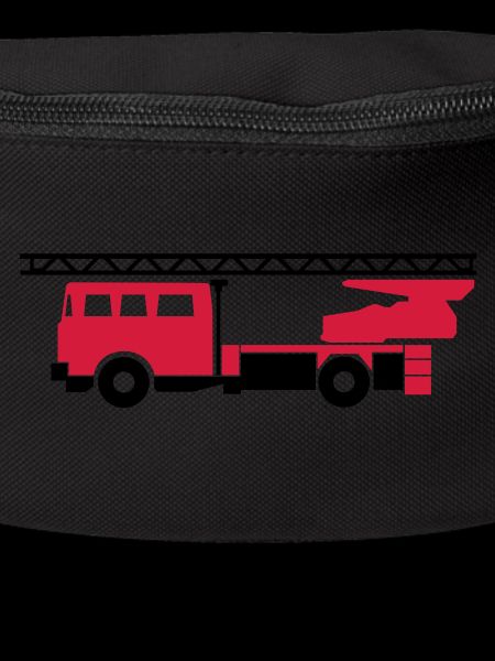 Fire truck (fire engine)