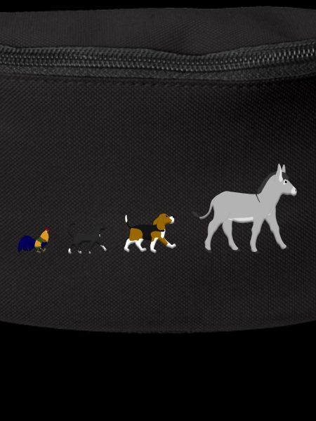 Chien, chat, coq, âne