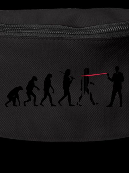 évolution NSA