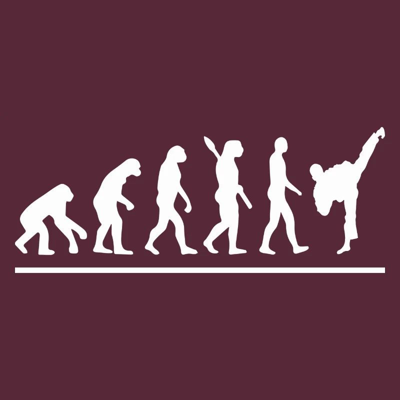 Évolution karaté