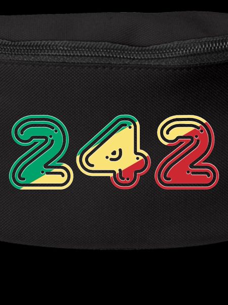 Team 242 CONGO