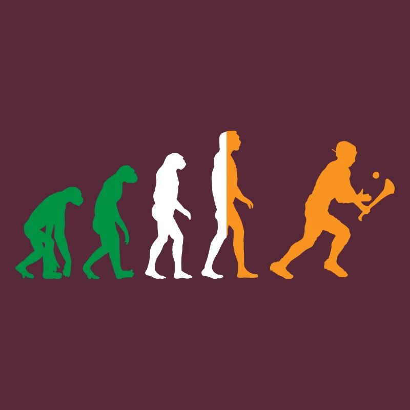 L’évolution du hurling