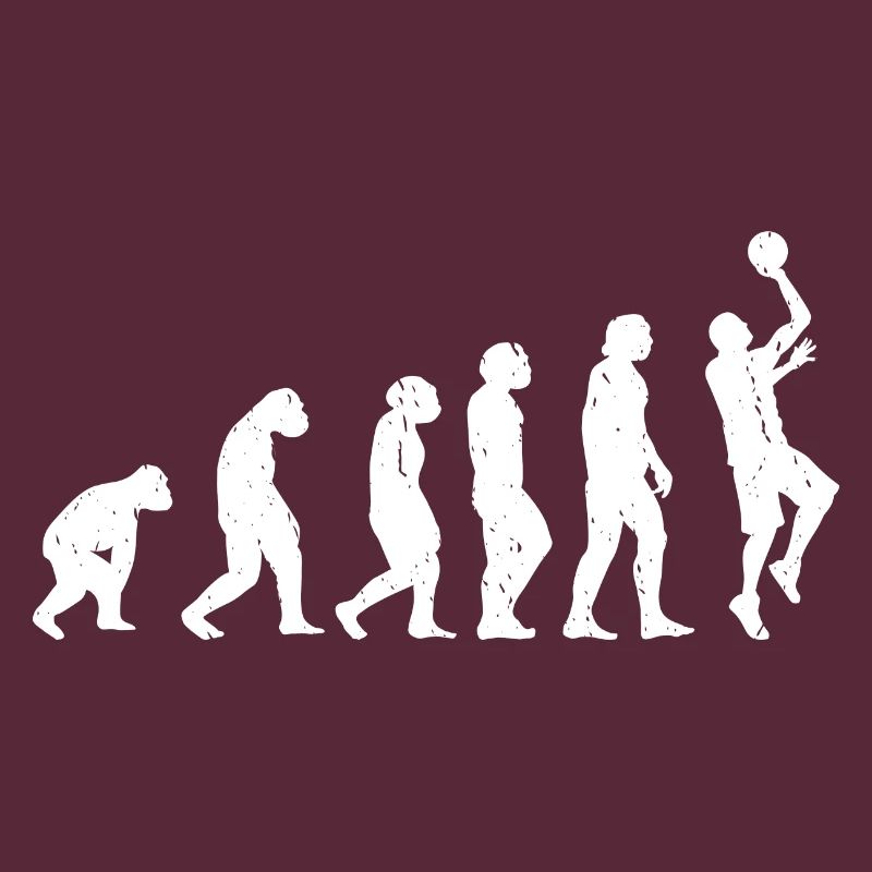 Evolution Basket-ball