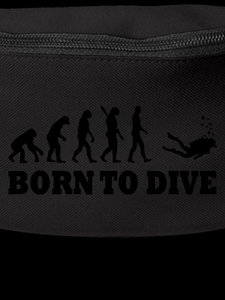 Diving Dive Dive