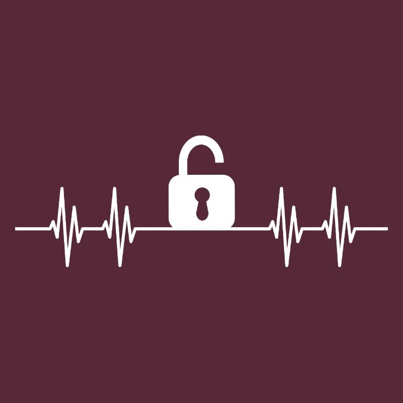 Lock Picker Lockpicking