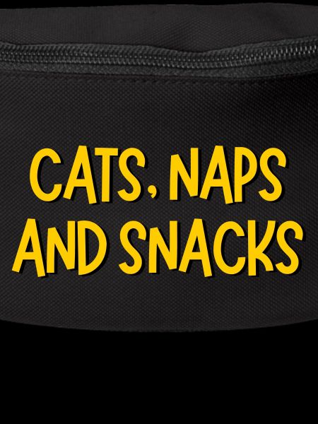 CATS NAPS AND SNACKS