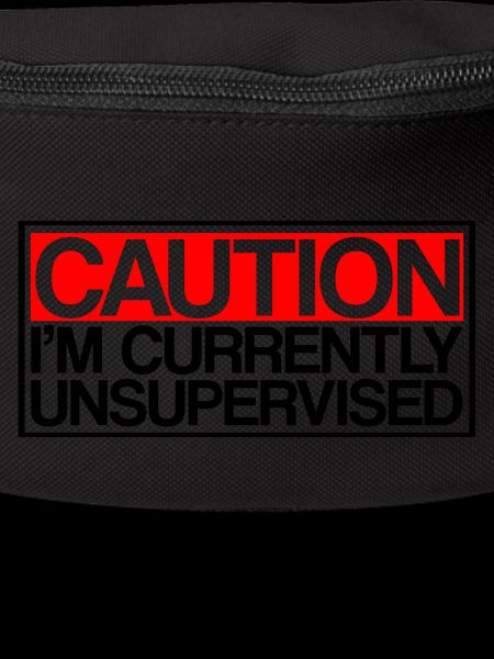 Caution I'm Currently Unsupervised 3