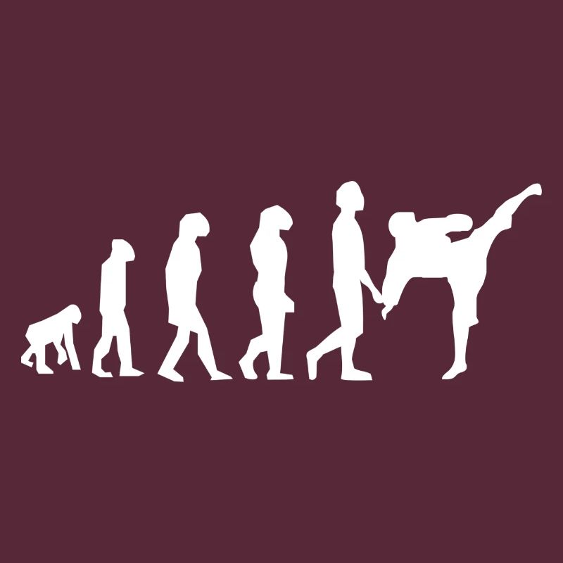 Art martiaux évolution