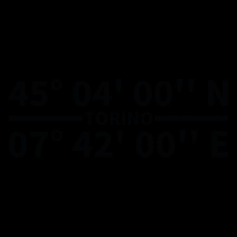 Torino coordinates