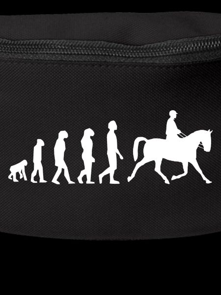 Evolution des Reitens