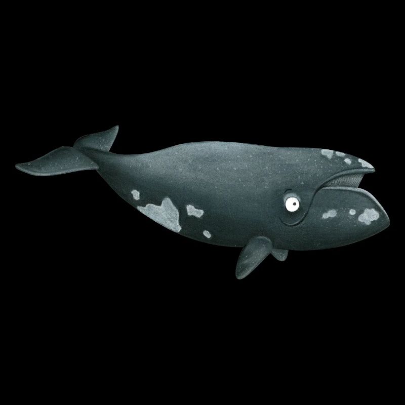 right whale