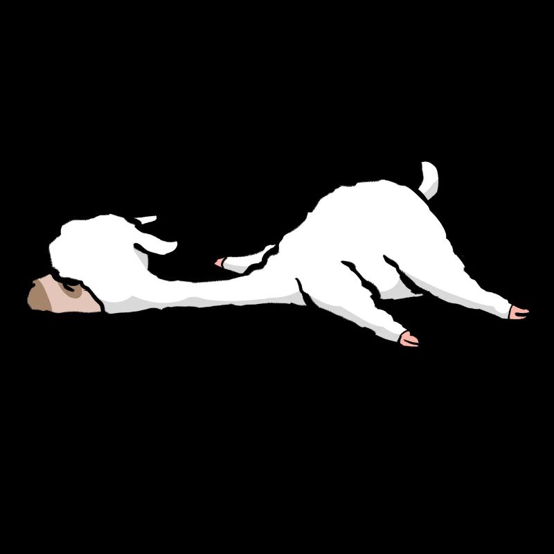 Not today - Tired and lazy - Lama