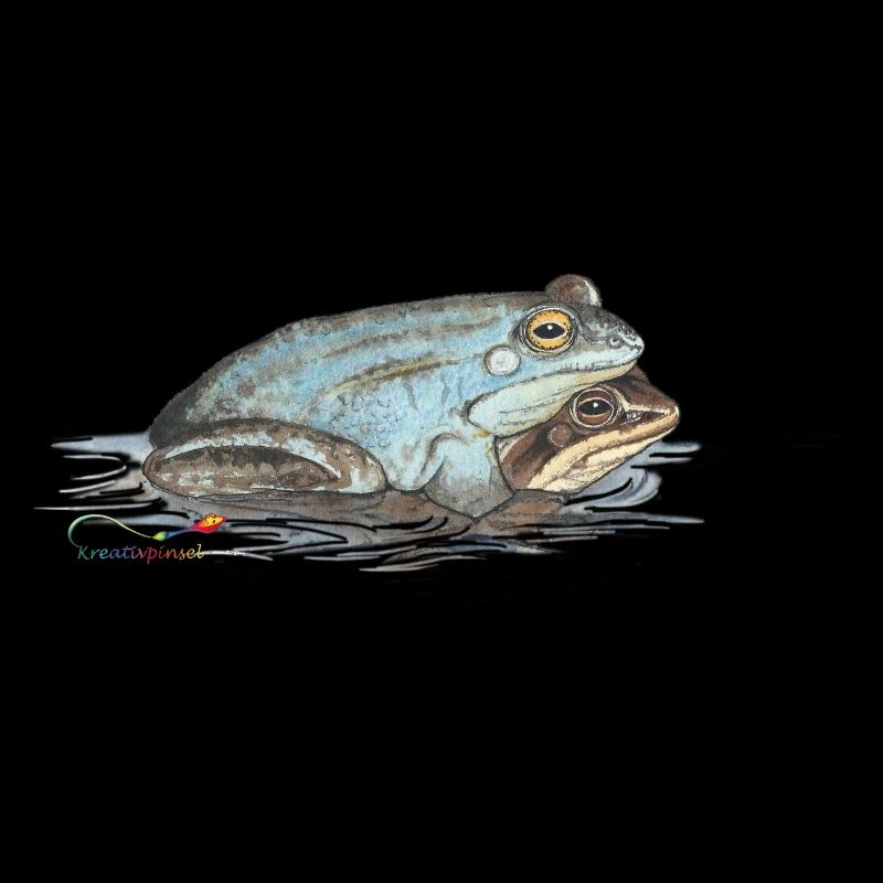 Grenouille lande