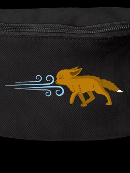 Der Fuchs und der Wind