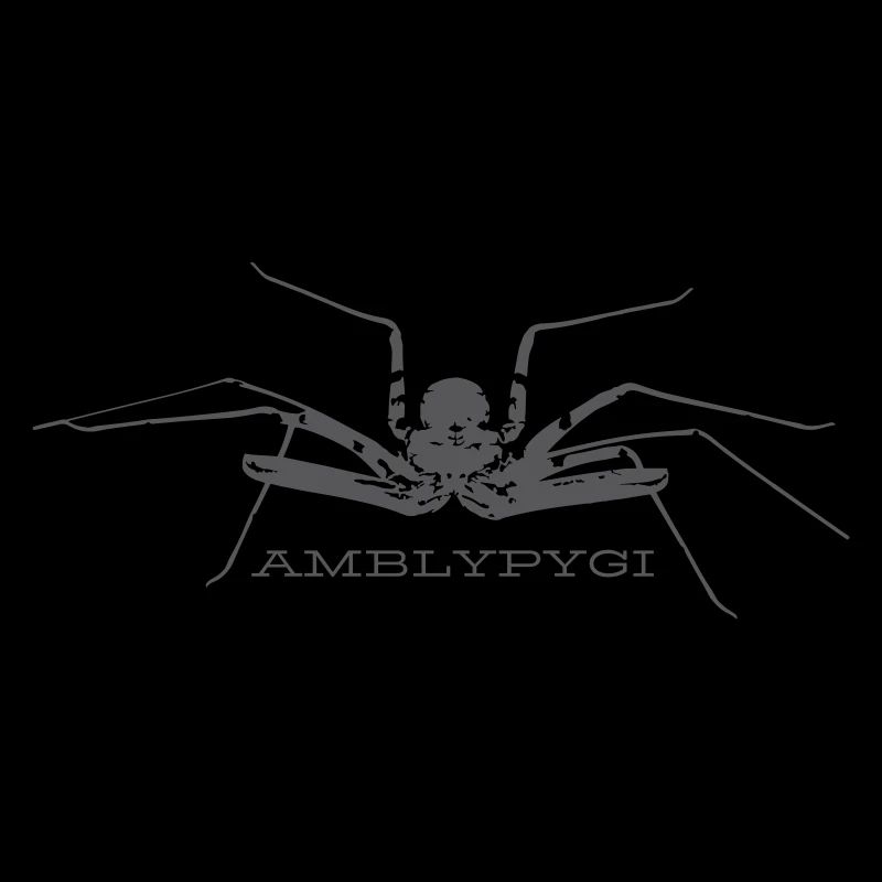 Araignée flagelle - Amblypygi