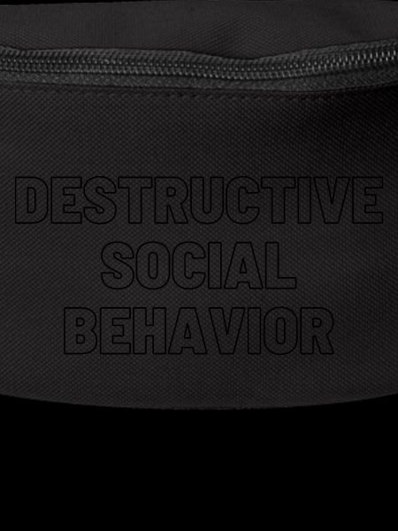 DESTRUCTIVE SOCIAL BEHAVIOR