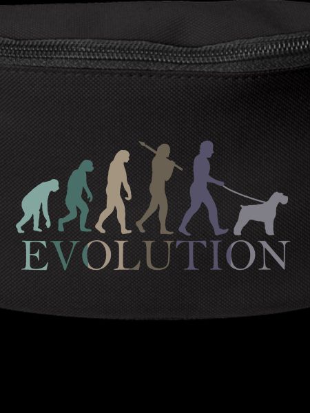 DIE EVOLUTION DES SCHNAUZERS