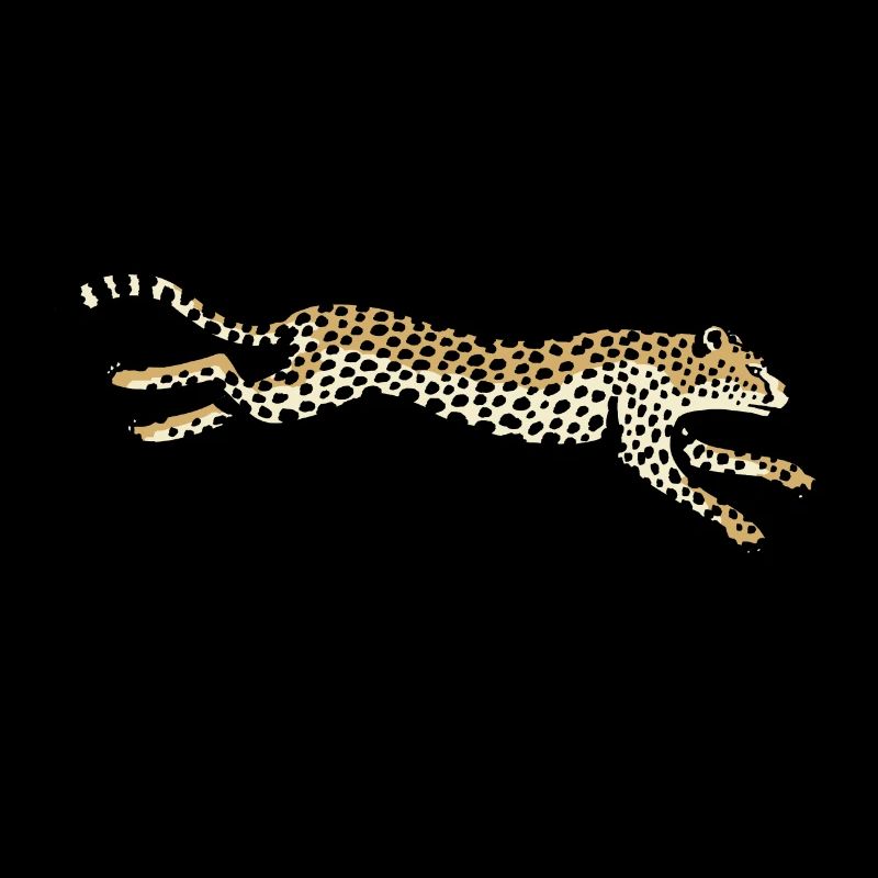 Gepard