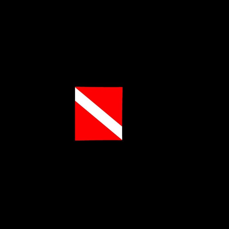 Plongée Plongeur Down Flag Plongée sous-marine Taucher Tauchen
