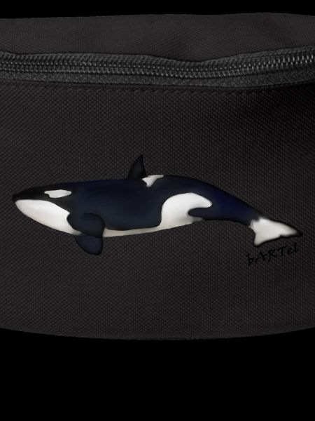 Orca 2