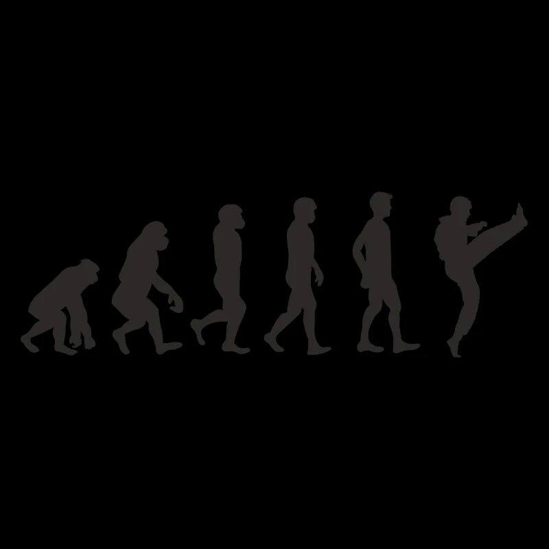 Evolution Karate
