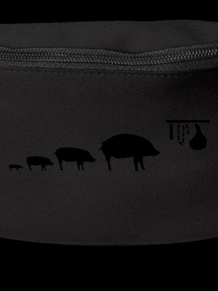 pig_evolution