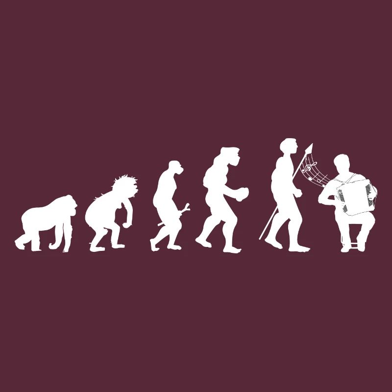 Akkordeon Evolution