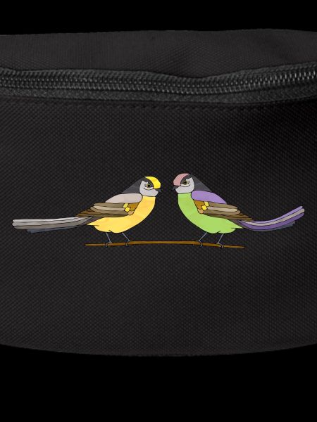 Oiseaux