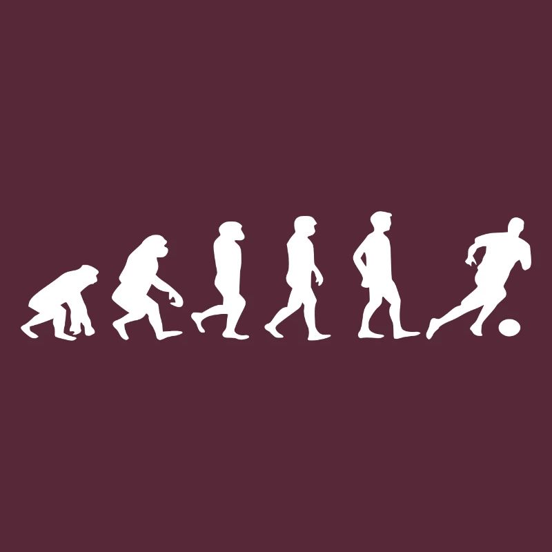 Fussball evolution