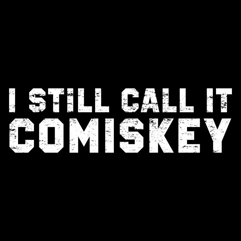 ICH NENNE ES IMMER NOCH COMISKEY Chicago Baseball Vintage