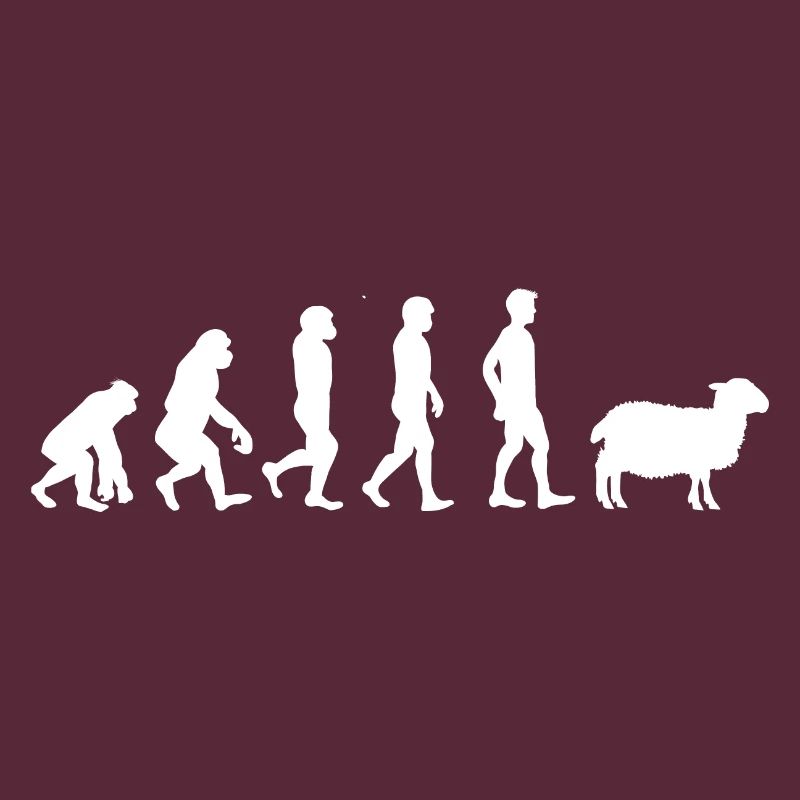 Evolution mouton