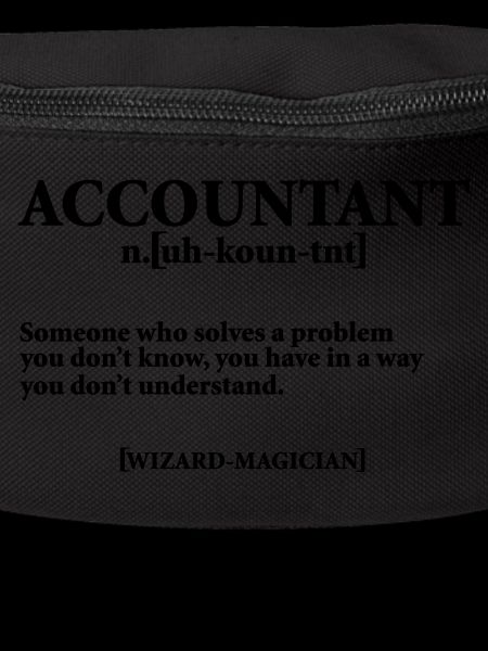 ACCOUNTANT NOUN
