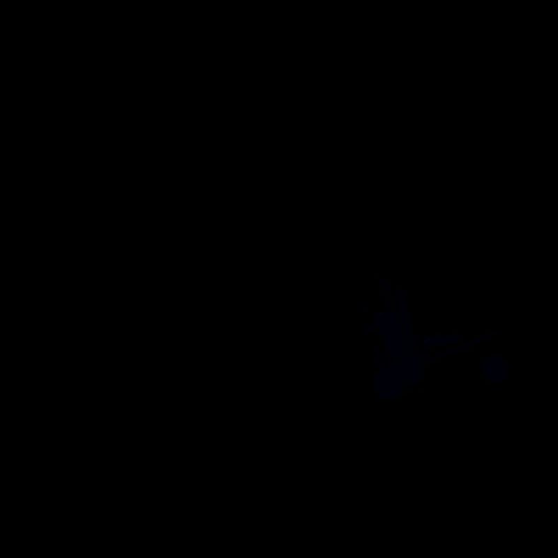 Trike-Gleitschirm Evolution Paragleiten mit Motor