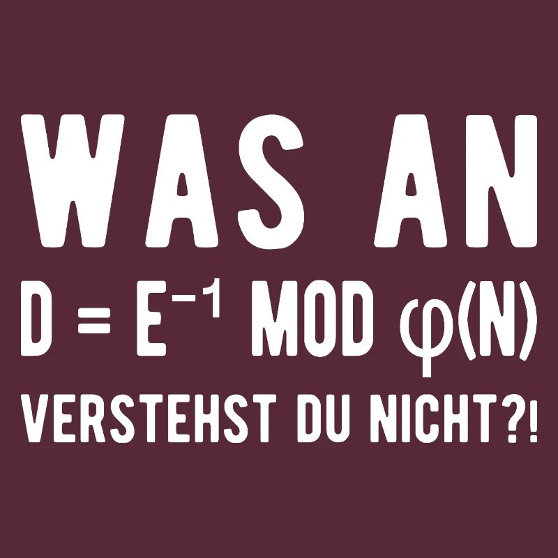 Computer Scientist Computer Science Student Programmer