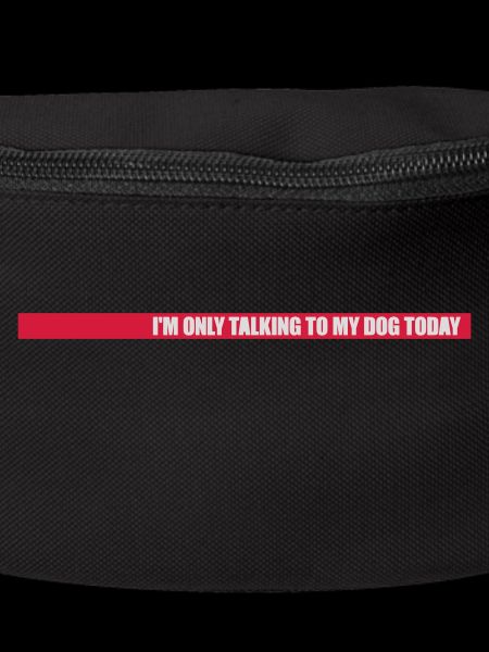 only talking to dog