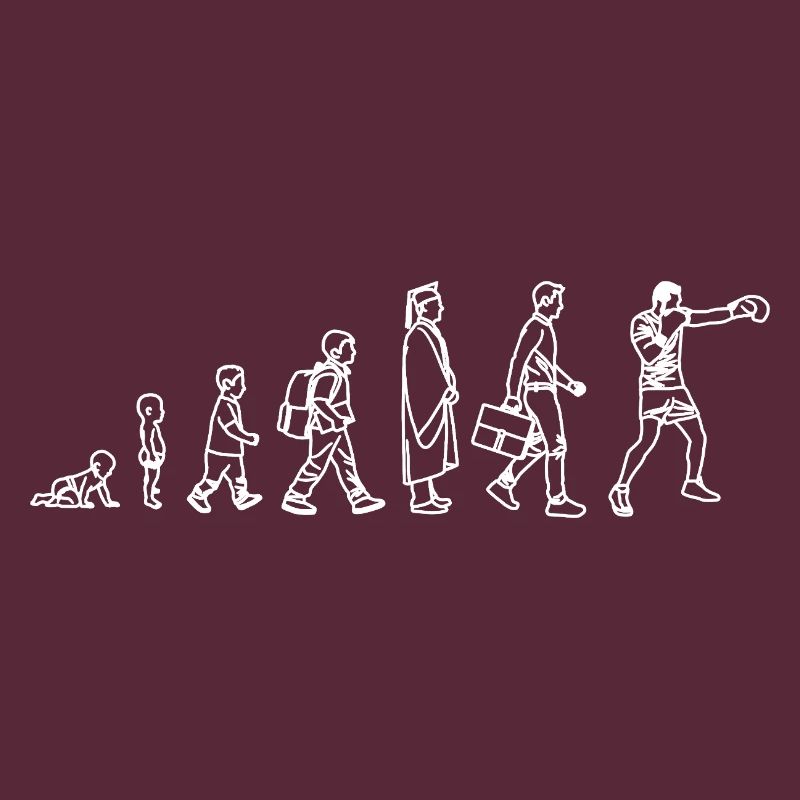 Évolution du Boxer