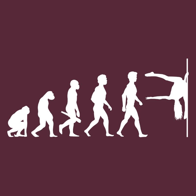 Evolution Poledance Pole Dancing Danse