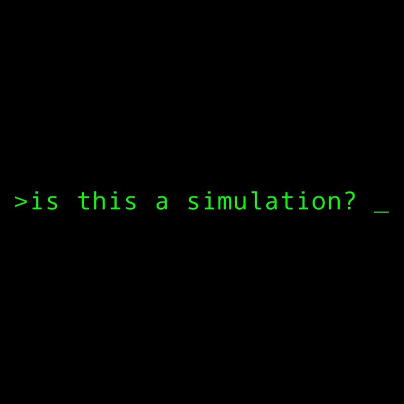 Simulation Programming Informatic Gift Saying