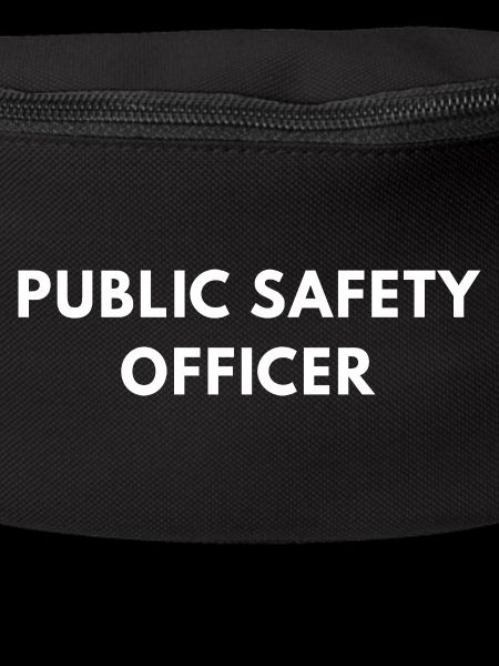 Agent de sécurité publique