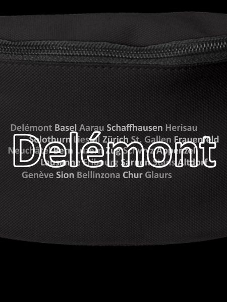 Schweizer Städte Delemont
