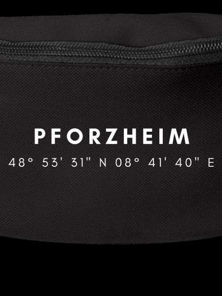 Coordonnées Pforzheim