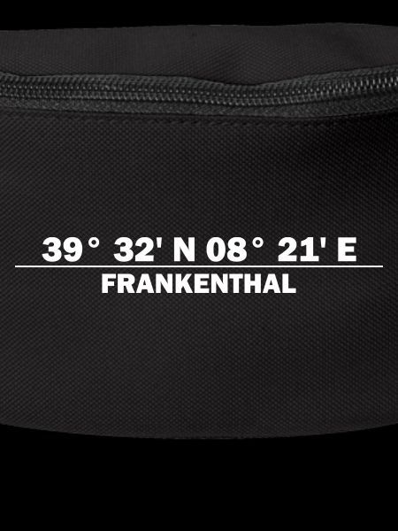 Coordonnées de Frankenthal