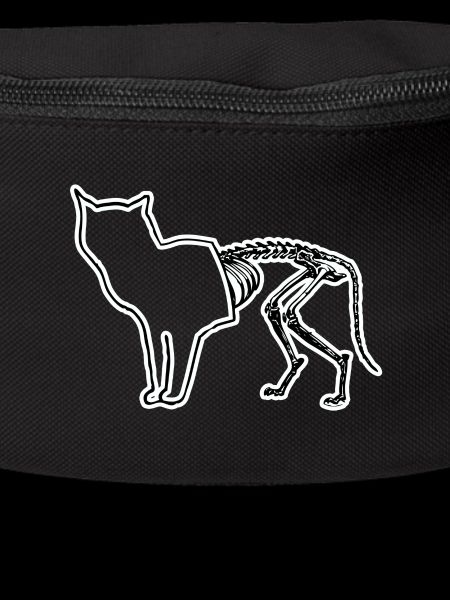 Schrodinger's Skele Cat