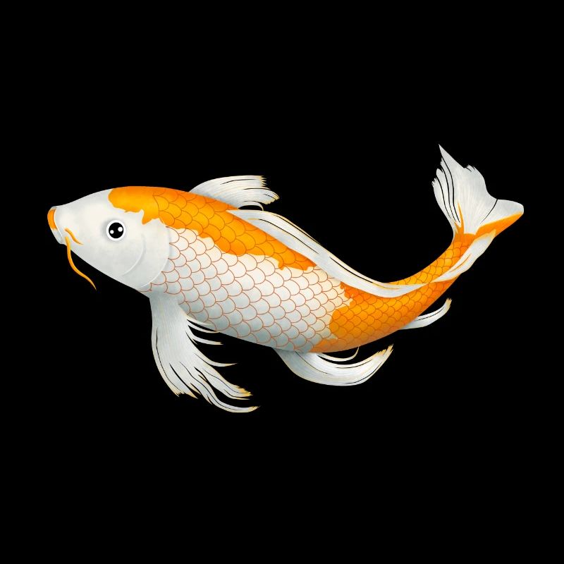 Koi Fish Carp Japan Gift