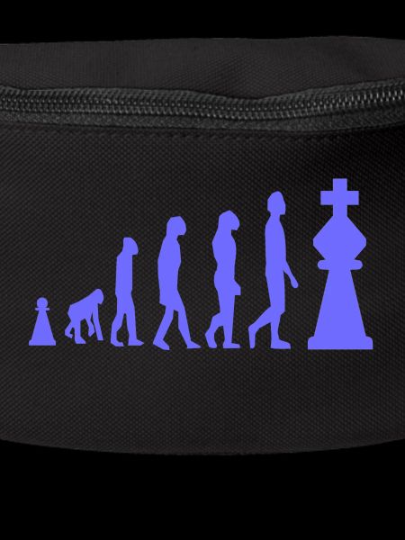 Chess Evolution Chess Funny