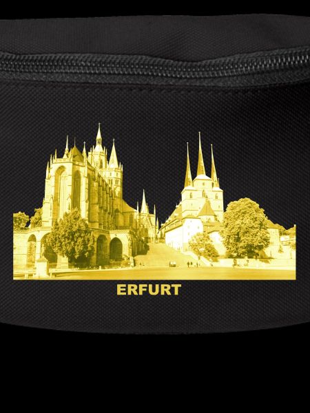 Erfurt Thuringia Cathedral Severikirche