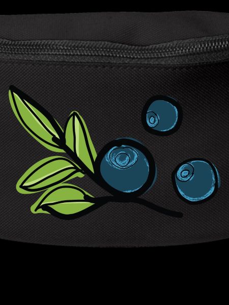 Bilberries fruit
