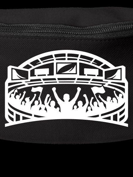 Stadium Fans Silhouette