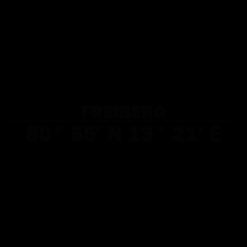 Freiberg coordinates