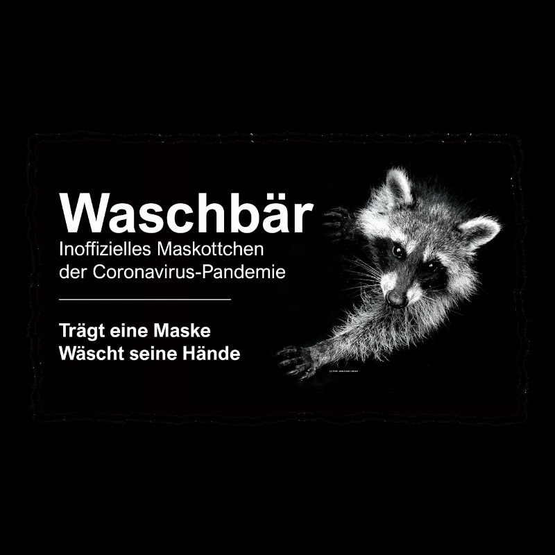 Maskottchen - Waschbär